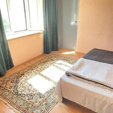 за гости байрактарова