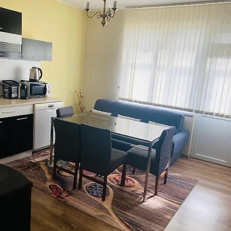 за гости байрактарова