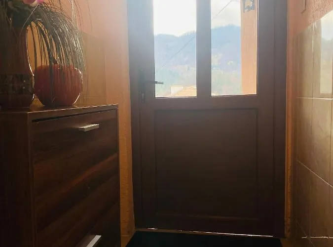 за гости байрактарова *